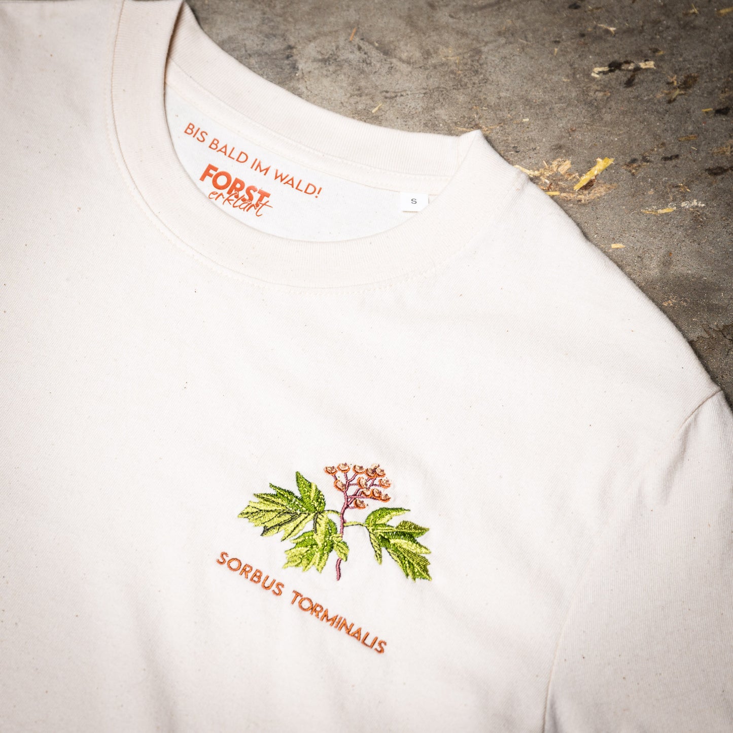 In dieser Nahaufnahme des Waldshirt Elsbeere steht die Stickerei der grün-braunen Elsbeere im Vordergrund. Sie glänzt einem von der Brust entgegen, darunter steht ihr wissenschaftlicher Name SORBUS TORMINALIS. In den Kragen sind das Forst erklärt-Logo und der Slogan BIS BALD IM WALD! in braun gedruckt.