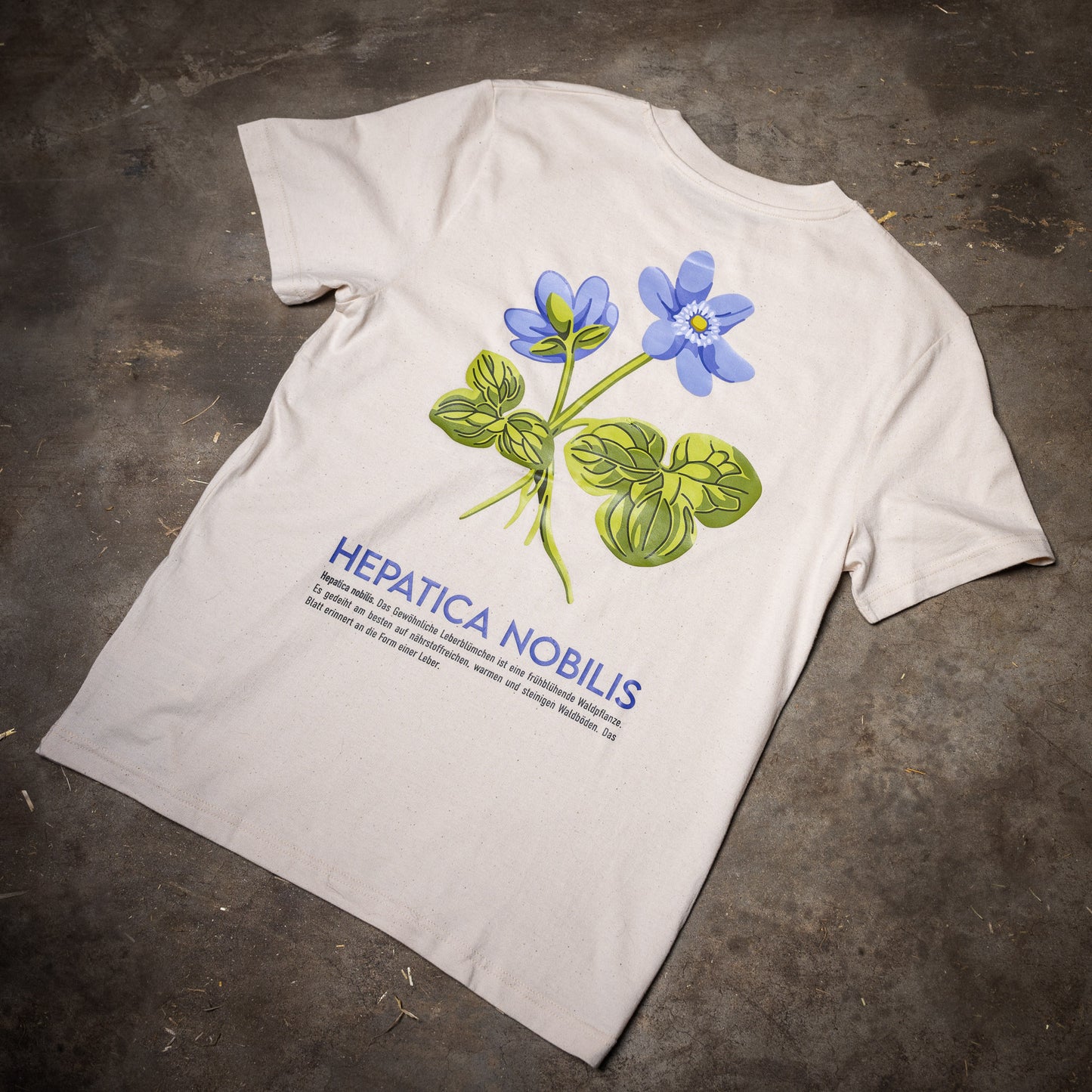 Die Rückseite des Waldshirt Leberblümchen, auf der der großformatige, grün-blaue Druck zu sehen sind. Eine Zeichnung vom Leberblümchen strahlt einem entgegen. Darunter steht HEPATICA NOBILIS, die wissenschaftliche Bezeichnung des Leberblümchens, mit einem kurzen Infotext zur Pflanze.