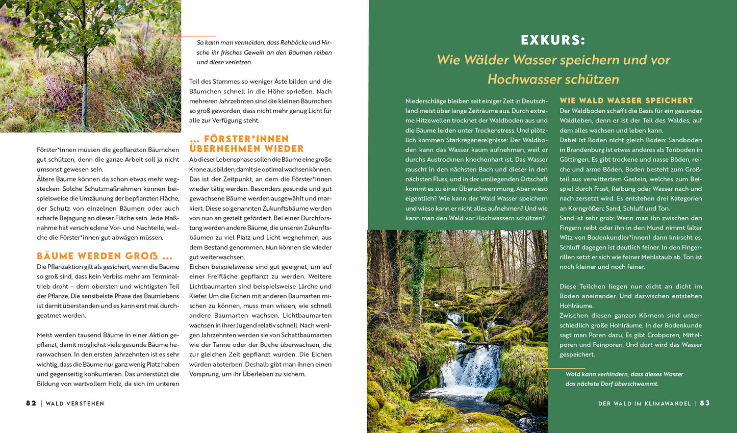 Warum wir den Wald brauchen – und er uns (Buch) - Vorbestellung