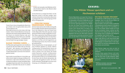 Warum wir den Wald brauchen – und er uns (Buch)