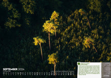Lade das Bild in den Galerie-Viewer, Waldkalender 2024 - Forst erklärt
