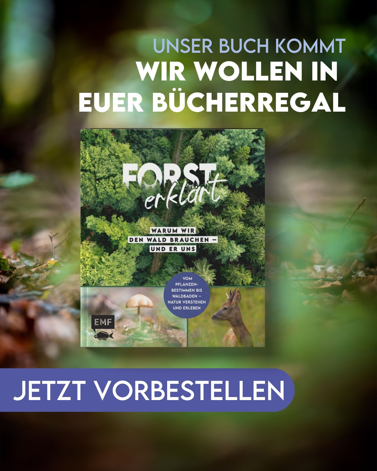 Warum wir den Wald brauchen – und er uns (Buch) - Vorbestellung