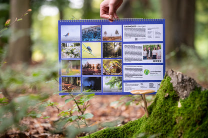 Forst erklärt Waldkalender 2026