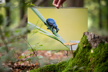 Forst erklärt Waldkalender 2026