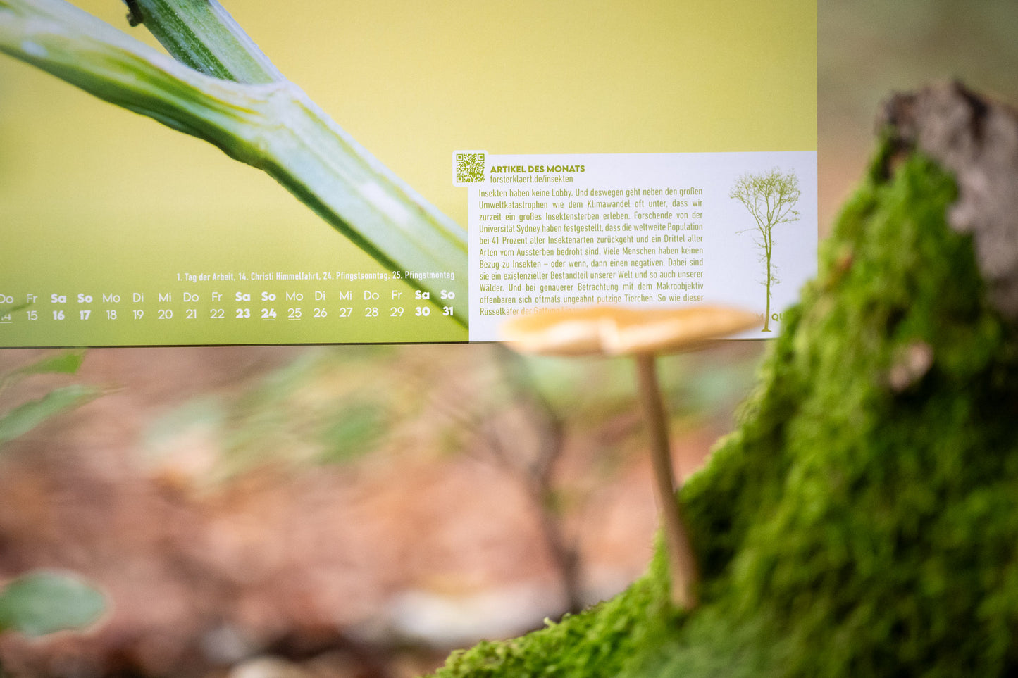 Forst erklärt Waldkalender 2026