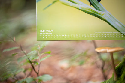 Forst erklärt Waldkalender 2026