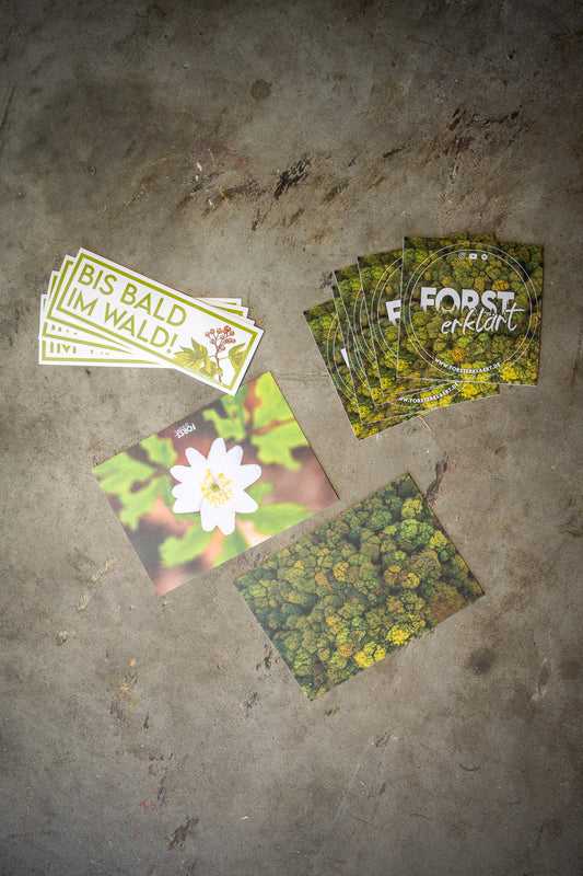 Sticker und Postkarten Set