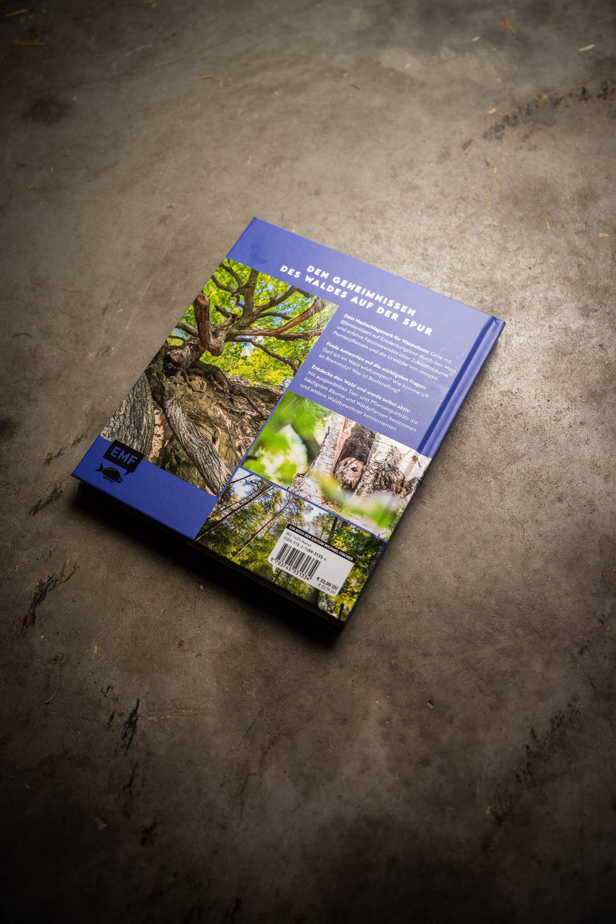 Warum wir den Wald brauchen – und er uns (Buch)