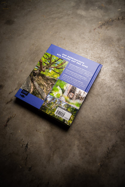 Warum wir den Wald brauchen – und er uns (Buch)