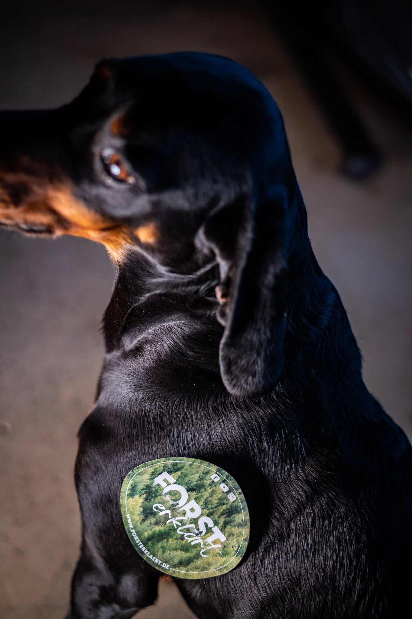 10x Forst erklärt Sticker